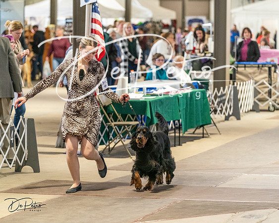 20240330-DSC09190