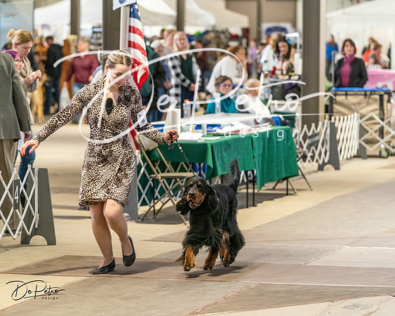 20240330-DSC09191