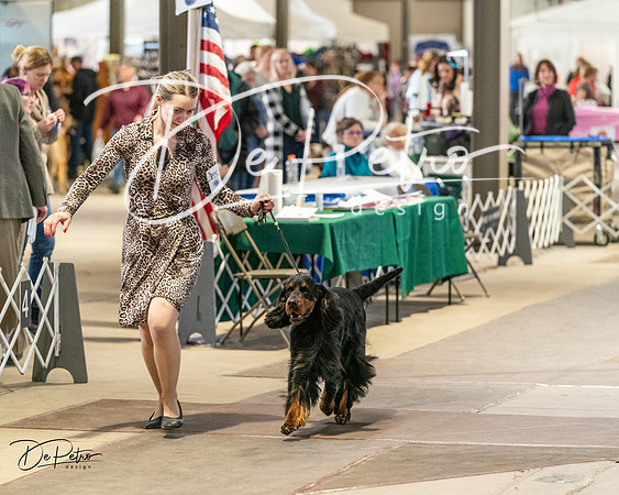20240330-DSC09192
