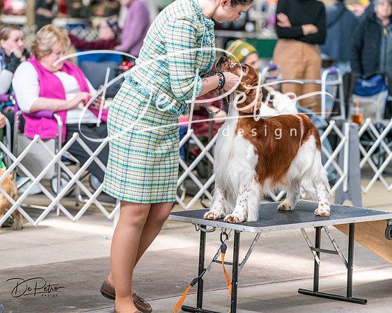 20240330-DSC09194