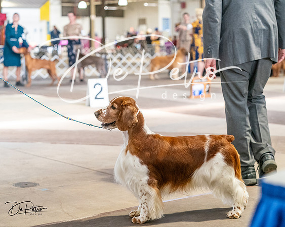 20240330-DSC09206