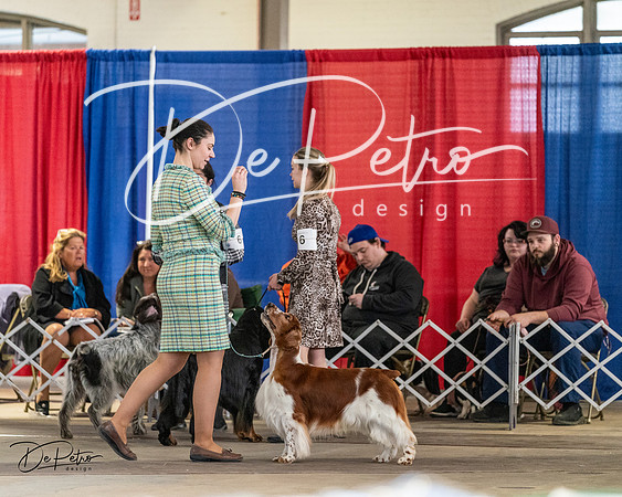 20240330-DSC09222