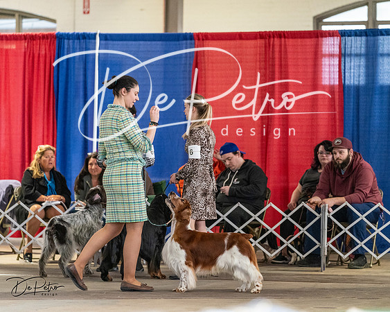 20240330-DSC09223