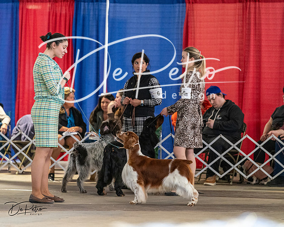 20240330-DSC09228