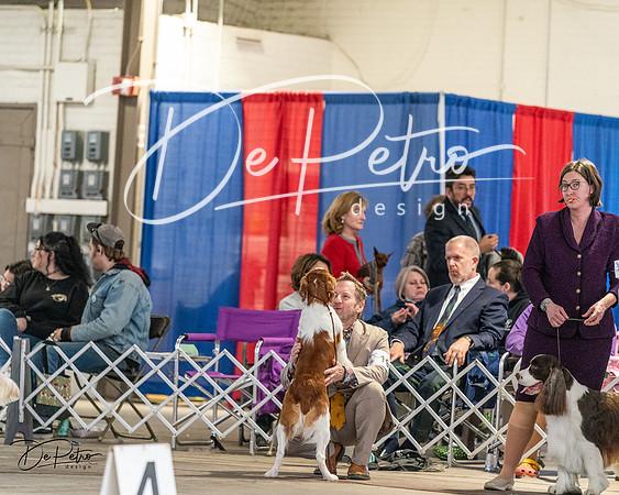 20240330-DSC09259