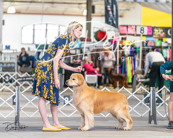 20240330-DSC09297