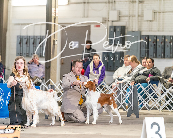 20240330-DSC09333