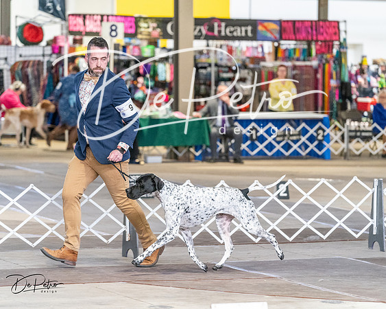 20240330-DSC09341