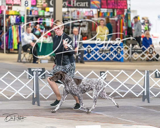 20240330-DSC09372