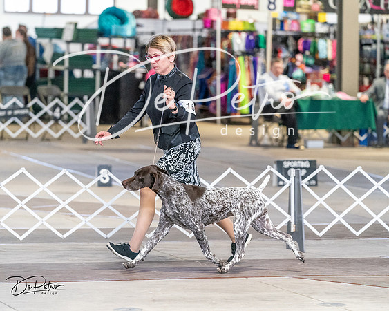 20240330-DSC09380