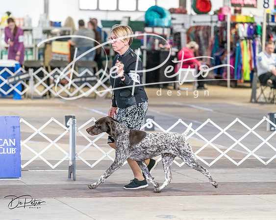 20240330-DSC09384
