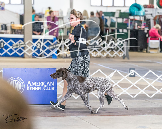 20240330-DSC09388