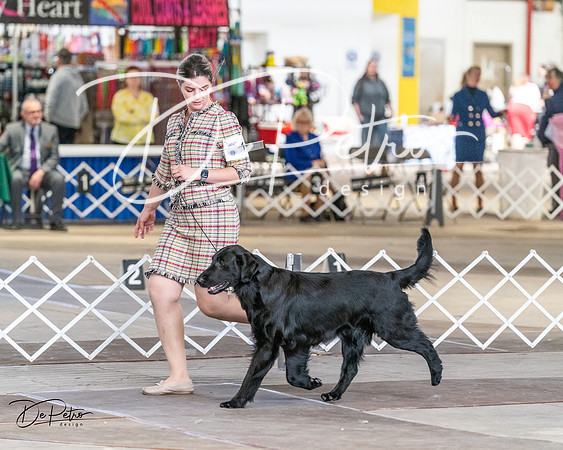 20240330-DSC09395