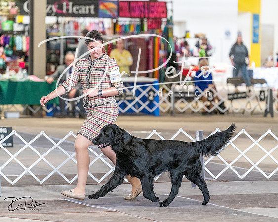 20240330-DSC09398