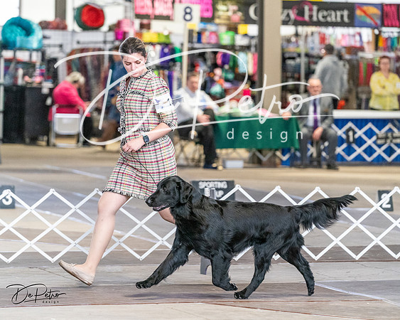 20240330-DSC09406