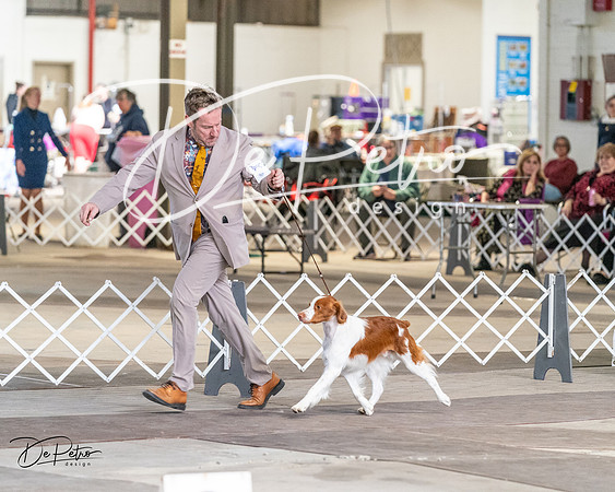 20240330-DSC09419