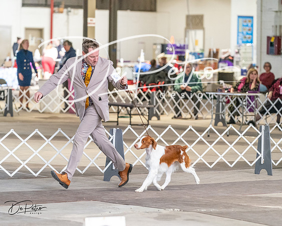 20240330-DSC09420