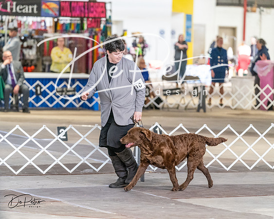 20240330-DSC09456