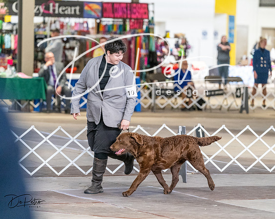 20240330-DSC09461
