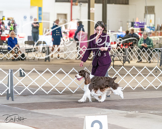 20240330-DSC09477