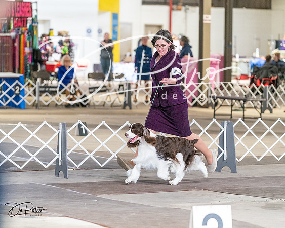 20240330-DSC09481