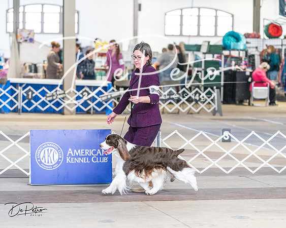 20240330-DSC09495