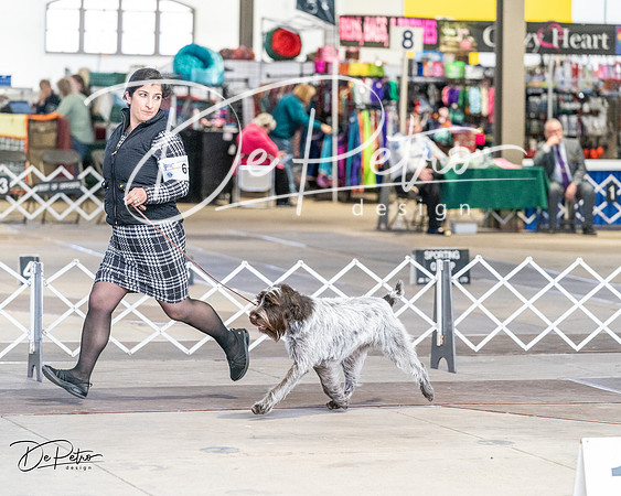 20240330-DSC09526