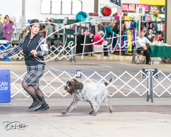 20240330-DSC09530