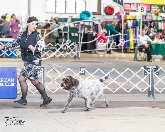 20240330-DSC09531