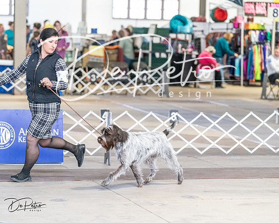 20240330-DSC09534