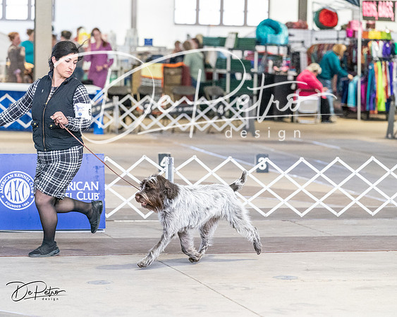 20240330-DSC09535