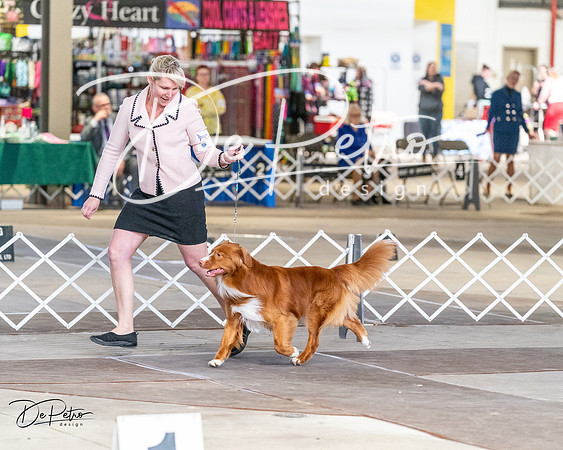 20240330-DSC09536