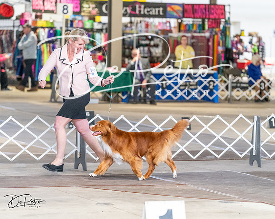 20240330-DSC09543