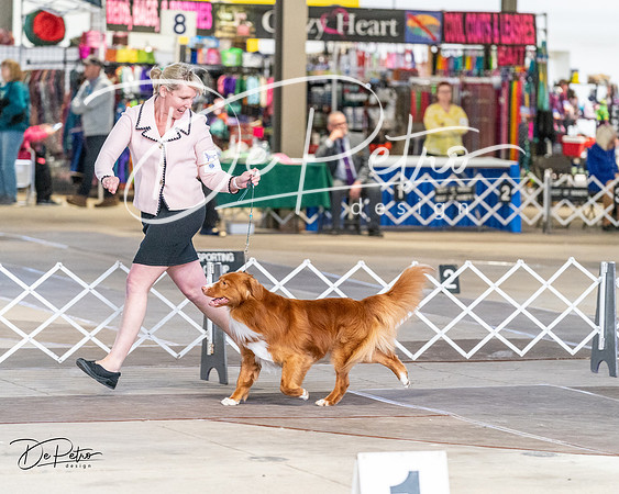 20240330-DSC09544