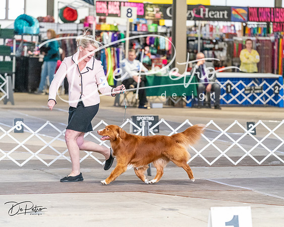 20240330-DSC09547
