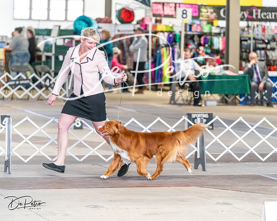 20240330-DSC09551
