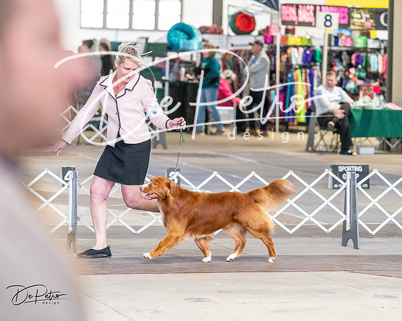 20240330-DSC09554