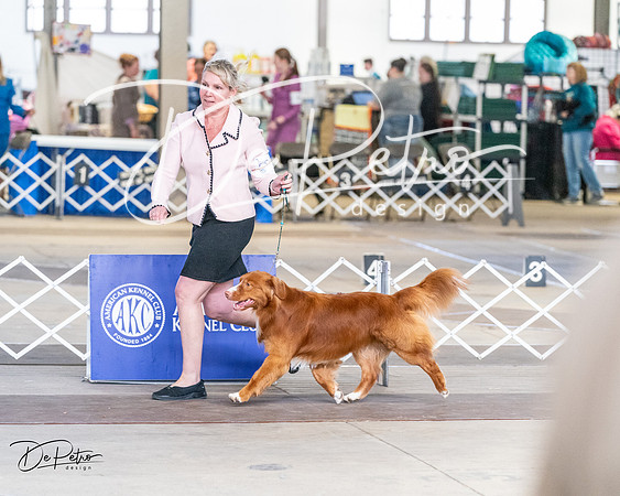 20240330-DSC09562