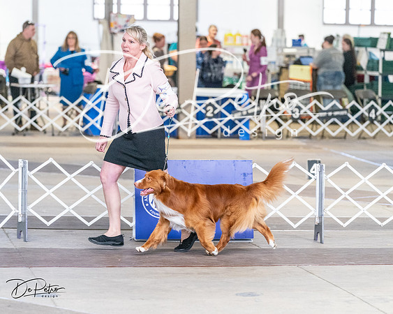 20240330-DSC09566