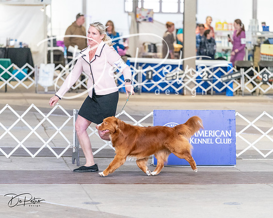 20240330-DSC09570