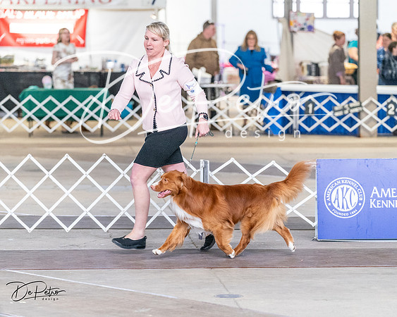 20240330-DSC09574