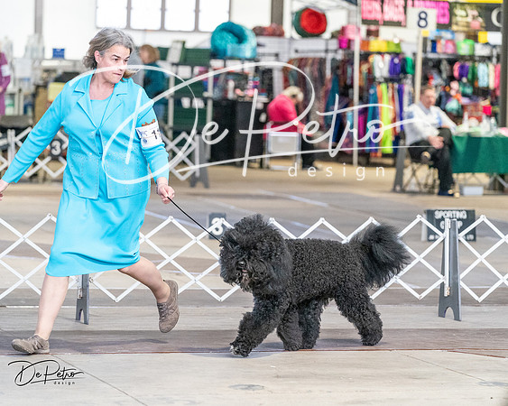 20240330-DSC09584