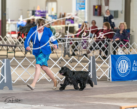 20240330-DSC09591