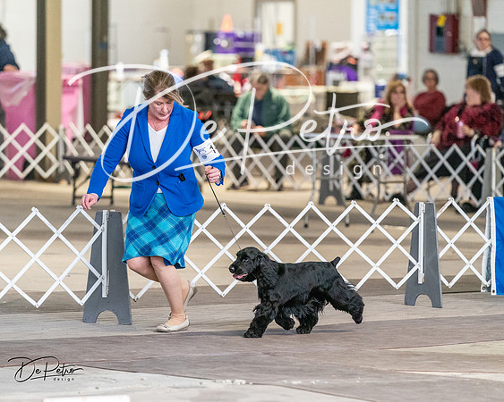 20240330-DSC09595