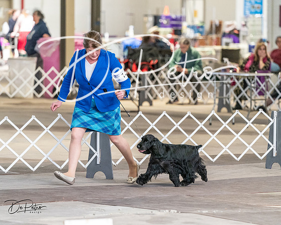 20240330-DSC09598