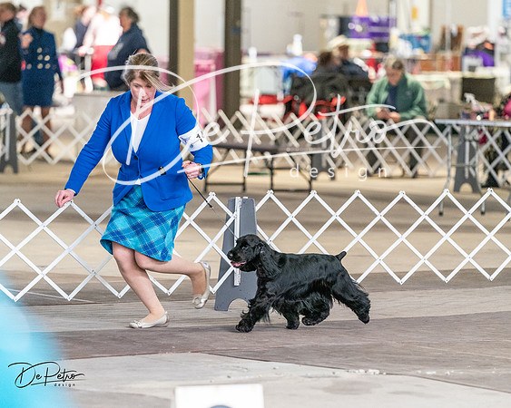 20240330-DSC09602