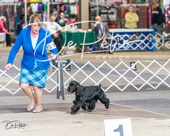 20240330-DSC09622