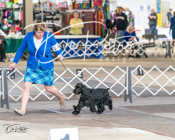20240330-DSC09611