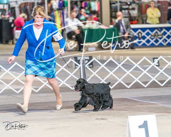 20240330-DSC09625