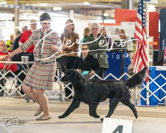 20240330-DSC08881
